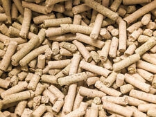 Pumpkin & Snowflake Shrimp