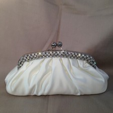 Women's Clutch Bag / Handbag -
