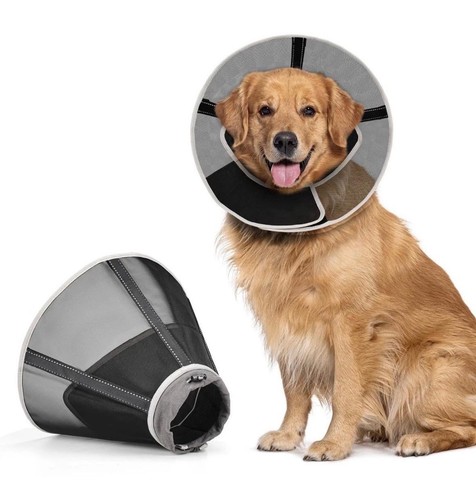 Dog cone elizabethan collar - cone,