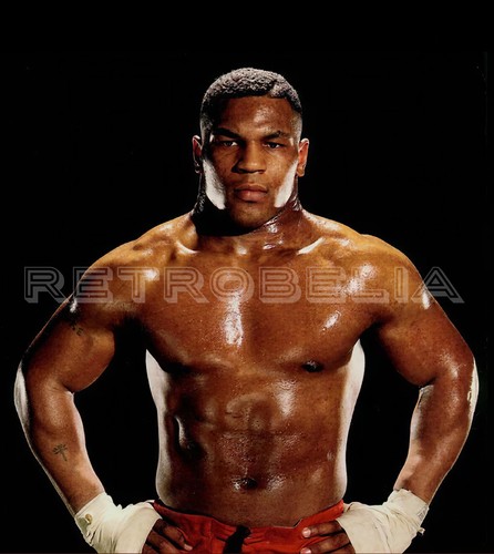 Mike tyson 8 photograph - 10,