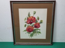 Framed Red Poppy Flower