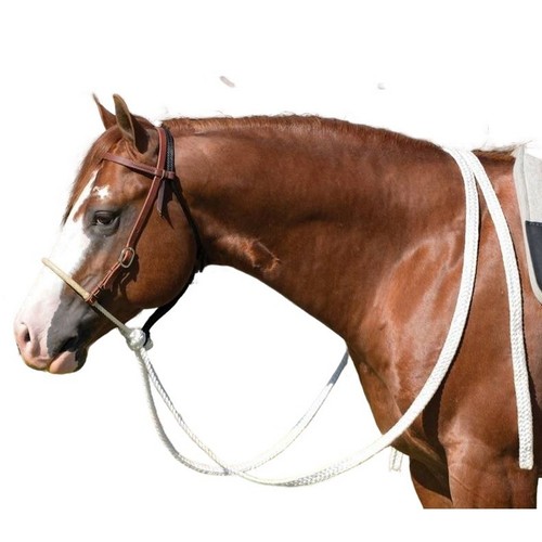 Professional choice loping - professional's,