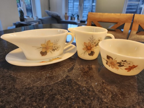 Vintage pyrex autumn - autumn, glory