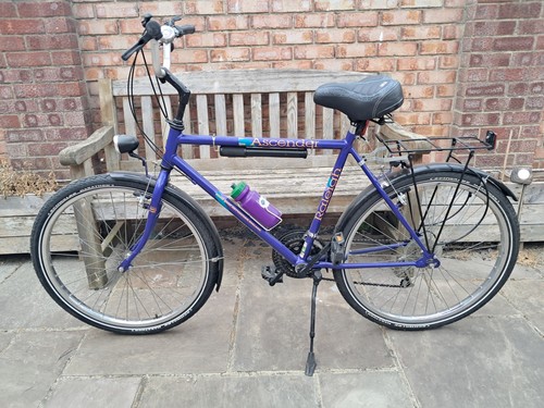 Raleigh ascender purple - raleigh,