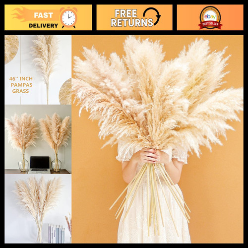 Natural pampas grass stems - 46",