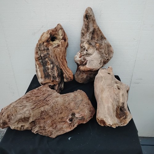 Lot driftwood chunks 4 - lot,
