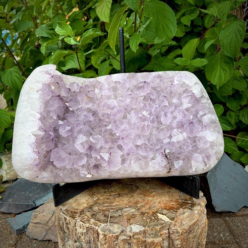 Large amethyst cluster - amethyst, with