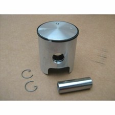 Trial Piston Gol Fantic Trial
