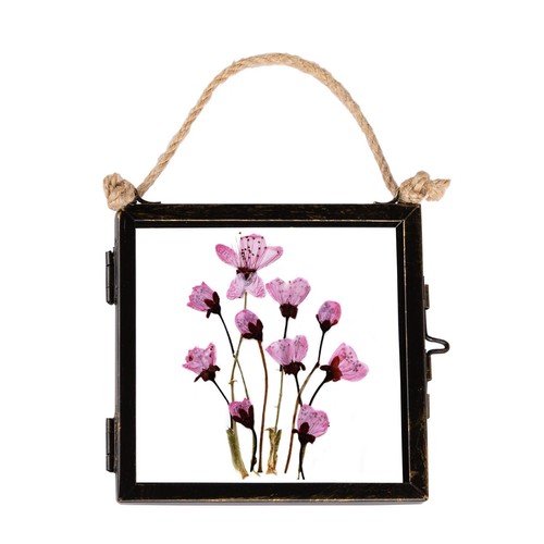 Hanging metal photo frame - photo,