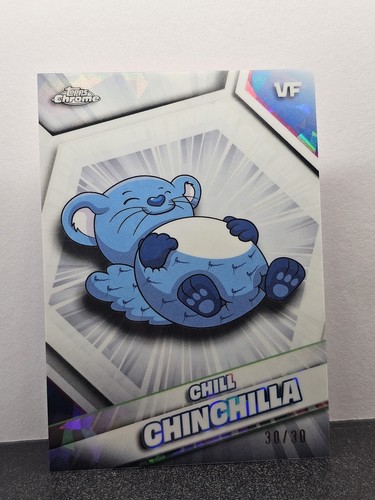 Chill chinchilla omega - chinchilla,