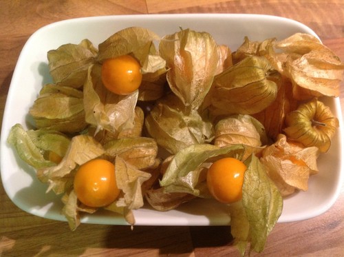 Cape gooseberry golden - gooseberry,