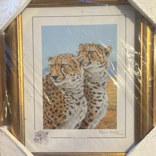 Stephen gayford brothers - stephen,