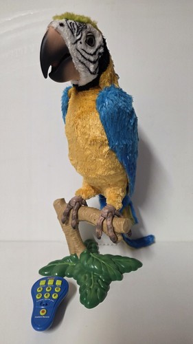 Squawkers mccaw 2007 - mccaw,