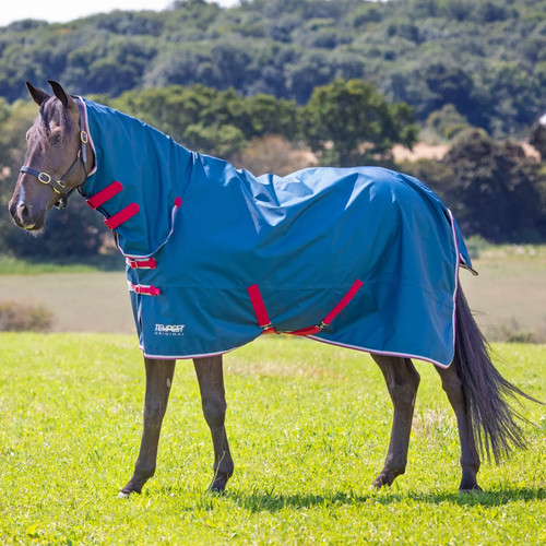 Shires tempest original lite - shires,