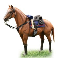 HIPLAY DID US Army Captain