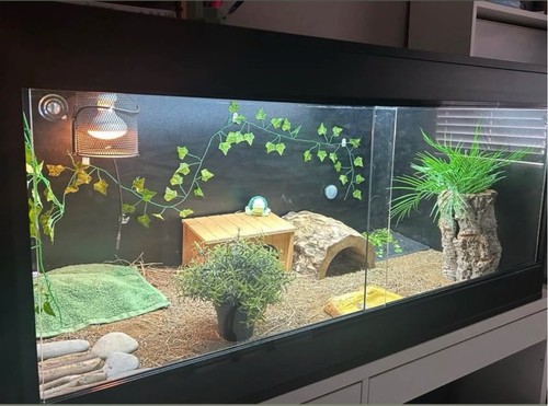 Tortoise vivarium complete - –,
