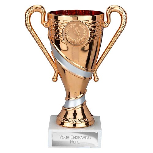 Presentation cup sports trophy - presentation,