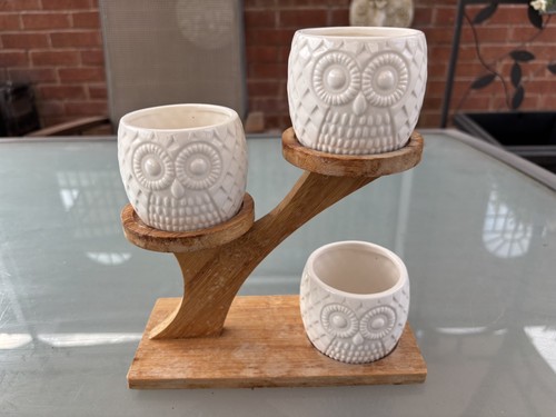 Stylish owl design - stylish,
