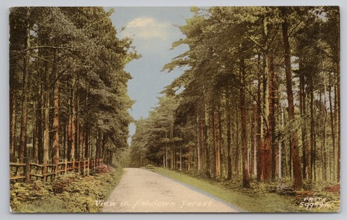 View thetford forest - in,