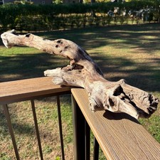 Long driftwood with - long,
