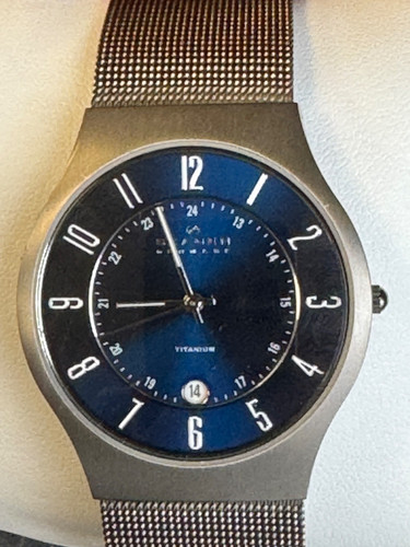 Skagen 233xlttn titanium - titanium, gents