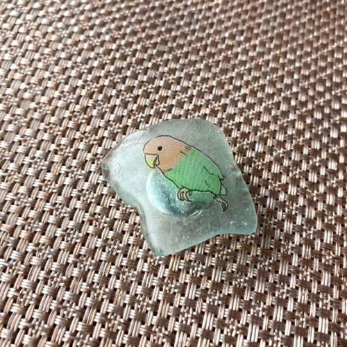Lovebird bird obiclasp - lovebird,