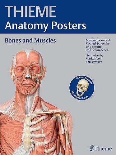 Thieme anatomy posters - thieme, bones
