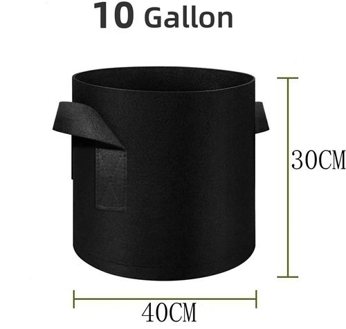 Pack large plant - large, grow