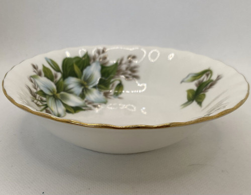 Royal albert trillium 5cm - 13.5cm, /