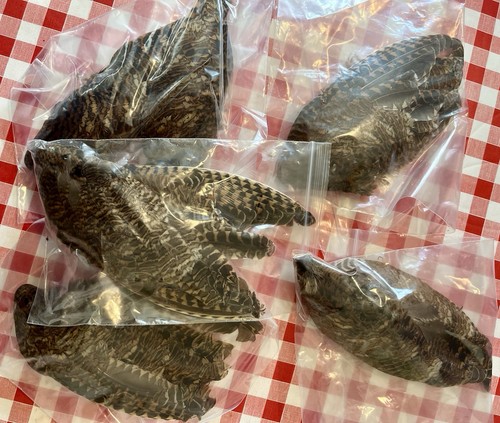 Pairs woodcock wings - pairs, of