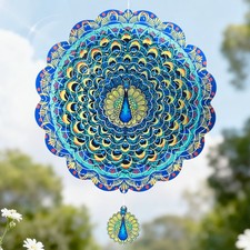 Elegant Hummingbird Wind