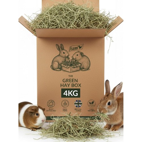 Fearns green timothy hay for - hay,