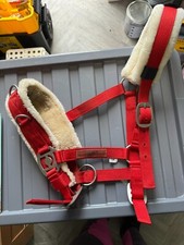 QHP Lunging Cavesson - COB