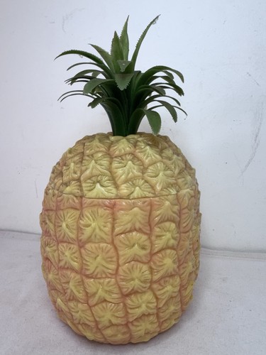 1970 pineapple ice - 1970’s,