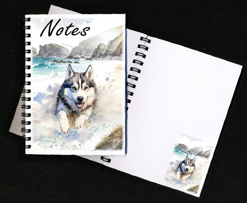 Siberian husky dog - husky,