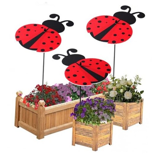 Pack small plant - pack,
