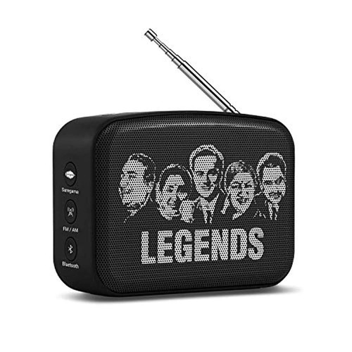 Saregama carvaan mini hindi - carvaan,