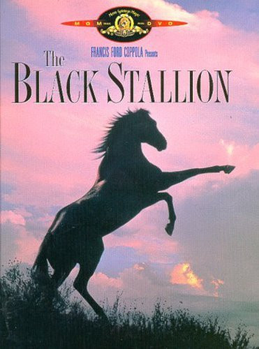 The black stallion - the,