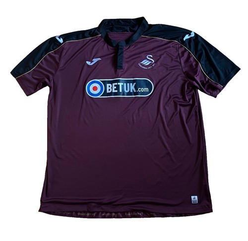 Swansea city football - swansea,