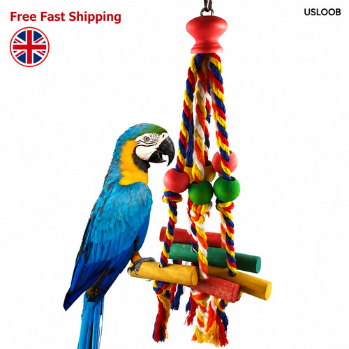 Natural wooden parrot - wooden, bird