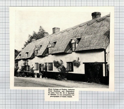 Moat cottage pleshey - ,