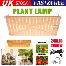 2000W 240 LED Grow Lights for