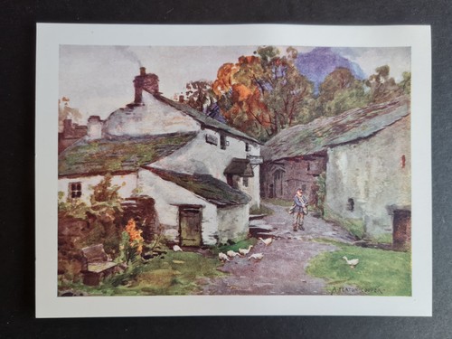 Antique 1908 print - ,