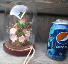Vintage Clear Dome Butterflies Artificial Orange Roses Flowers Taxidermy Display
