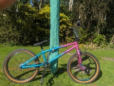 Rare blue and pink saracen