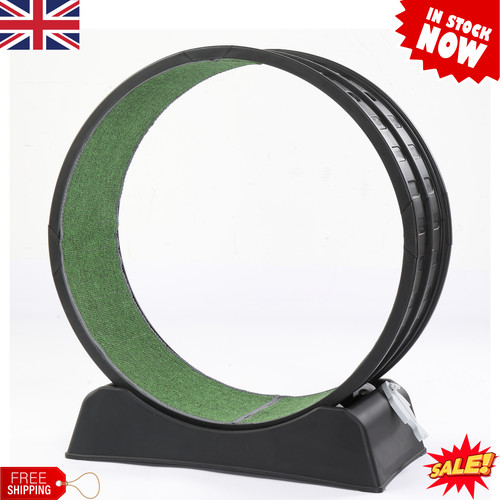 Cat exercise wheel large - exercise,