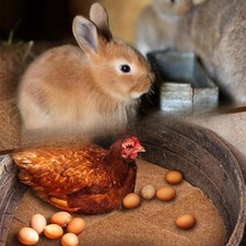 6x Egg Laying Mats Hen Nest