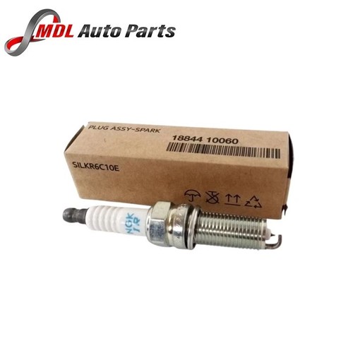 Ngk spark plug - plug,