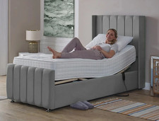 Winged Panel Electric