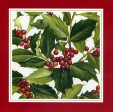 10 Pack Quality Xmas Christmas